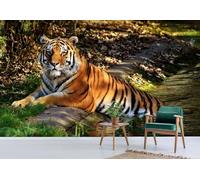3D Panoramic Custom Wallpaper Mural, Creek Tiger Animal,350x250cm Photo Wallpaper 3D Effect, Poster Decoration for Bedroom Living Room Corridor