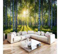 3D Photo Wall Mural Nature Forest Sunlight Non-Woven Wallpape Healing Style Decoration Poste Premium Photo Wallpaper Wall Art for Living Room Bedroom W350xH256 32f136