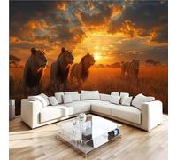 3D Photo Wallpaper Africa Grasslands Lions Wall Mural Decoration Poste Premium Non-Woven Wall Mural Wallpaper Wall Art for Living Room Bedroom Children's Room W366xH254 7yf515