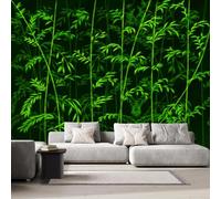 3D Photo Wallpaper Bamboo Forest Modern Wall Mural Non-Woven Poster 500x280 cm Nature Scenery Wall Art Wallpaper Decoration for TV Background Living Room Bedroom R-255