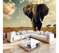 3D Photo Wallpaper Elephant Print Wall Murals, Africa Animals Non-Woven Wall Mural, Decoration Poster Picture Design Modern Mural 400x280 cm (WxH) for livingroom Kids Bedroom Q-4