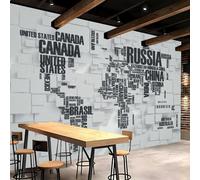 3D Photo Wallpaper Modern Grey World Map 366x254 cm Non-Woven Wall Mural International Map Mural Wallpaper for Living Room Bedroom Dining Room Hotel Wall Art Painting