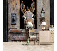 3D Photo Wallpaper Pastoral Life Donkey 400(W) x280(H) cm Wall Mural Country Retro Style Non-Woven Peel and Stick Self-Adhesive Premium Art Print Decor for Living Room Bedroom