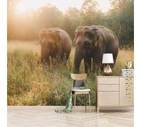 3D Photo Wallpaper Two Elephants On The Grassland 200(W) x140(H) cm Wall Mural Natural Scenery Animals Non-Woven Peel and Stick Self-Adhesive Large Poster Living Room Bedroom Tv Background Wall