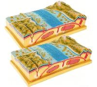 3D Plate Tectonics Model, Geology Topography Landform Science Model, Geological Structure & Surface Morphology for Classroom Education in Middle & High Schools.