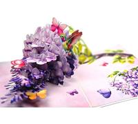 3D Pop-Up Card Hummingbird & Wisteria - Folding Card with Butterflies, 15 x 20 cm Closed, 30 x 20 cm Open, 11 cm 3D Effect, Includes White Envelope - Gift for Birthday, Mother's Day & Thank You