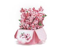 3D Pop Up Handmade Card, Butterflies Flower 3D Pop Up Greeting Cards Multicolor for Valentine's Day Mother's(AD-CQY-043)