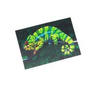 3D Postcard Chameleon Postcard Wobble Card Hologram Card Animal Lizard