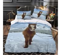 3D Print 3-Piece Bedding Set Bed Decor Zipper Ultra Soft Snowy Pony Walk Comforter Cover Breathable Wrinkle-Resistant for Teens,Kids,Women Winter Equine Adventure Quilt Cover Double（200x200cm）