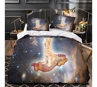 3D Print 3 Pieces Bedding Set Home Decor Hidden Zipper Extra Space Cat Dancing Quilt Cover Breathable Wrinkle-Resistant for Adults,Boys,Teens fantasy Cosmic Adventure Duvet Cover Double（200x200cm）