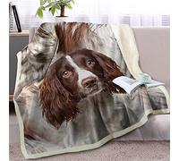 3D Print Double Size Throws Blanket Khaki Springer Spaniel, Comfort Soft Sofa Bed Flannel Blanket 128x152cm, Modern Fashion Design Style Children Adults Bedroom Decor - Travel Blankets 50"x60"