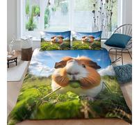 3D Print Easy Care Microfiber Cute guinea pig Duvet Cover Breathable Bedding Sets with Matching Pillowcase Nature outdoor scene Comforter Cover All Season Washable for Home Decor Double（200x200cm）
