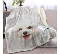 3D Print Throws Blanket King Size White Bichon Frise, Comfort Soft Sofa Bed Throw Blanket 152x204cm, Modern Fashion Design Style Children Adults Bedroom Decor - Fluffy Blankets 60"x80"