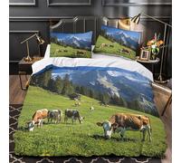 3D Printed 3 Pcs Bedding Set Home Decor Hidden Zipper Extra Alpine Pasture Duvet Cover Easy Care Machine Washable for Teenagers,Girls,Youth Swiss Mountain ry Comforter Cover Double（200x200cm）