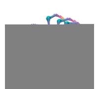 3D Printed Articulated Spider - Articulated Fake Spider Figures | Stress Relief Desk Toys Adults Fidget Toys, Party Favors For Birthday Halloween Christmas