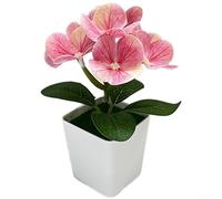 3D Printed Artificial Hydrangea Flowers in Small Square Pot, Realistic Fake Plants for Home Decor, Wedding Table Centerpieces and Living Room Ornament, Low Maintenance Plastic Flora(Deep Pink)