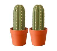 3D Printed Cactus Chess Set • 32PCS Cactichess Themed Pieces • Roll-Up Portable Chess Board • Succulent Plant Decor Gifts • Travel-Friendly 3D Chess Game (2 Set)