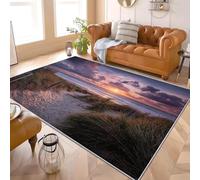 3D Printed Carpet Floor Mat 120x180 cm Beach Sunset Scenery Super Soft Touch Area Rugs Easy Clean, Stain Resistant Anti-slip Blue-Purple With Rubber Backing Machine Washable Fluffy Rug