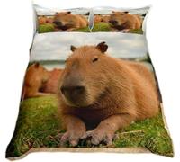 3D Printed Cute Capybara Single Duvet Cover Animal Lawn Duvet Sets Soft Breathable Microfibre 3Pcs Bedding 150x200 with Hidden Zipper Closure and 2 Pillowcases 50x75 3740-C