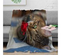 3D Printed Cute cat with rose All Season Blanket Microfiber Soft Warm Bedding Breathable Pet love scene Bed Blanket Wrinkle Resistant for Young Adults Renters Apartment Dwellers 80×90inch(200x230cm)