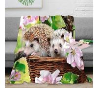 3D Printed cute hedgehogs Living Room Throw Microfiber Soft Warm Bedding Cosy spring garden scene All Season Blanket Machine Washable No Shedding for Travellers Campers Families 40x50inch(100x130cm)