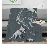 3D Printed Dinosaur sketches Warm Blanket Microfiber Warm Thermal Bedding Soft Vintage illustration Travel Blanket Premium Gift for Holiday Celebrations Birthday Anniversary 80×90inch(200x230cm)