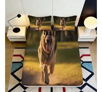 3D Printed Fantasy Cat Fitted Sheet Microfiber Deep Pocket Bedroom Bedding Fantasy Cat Mattress Fitted Cover Non-Slip All Ages Washable Small Double（140x200cm）