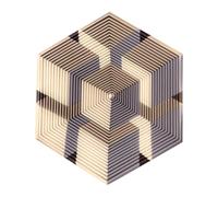 3D Printed Fidget Hexagon - Twisted Geometric Illusion Toy, Quiet Sensory Desk, Cool Hexagonal Fidget | Sensory 3D Toy For Kids Adults Teens Office School Classroom Travel Study Work Entertainment