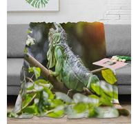 3D Printed Green lizard Bedding Throw Microfiber Ultra Soft Warm Bedding Wild animal photography 1 Bedding Blanket Compact Portable for Students Gamers Movie Nights Teens 70×80inch(180x200cm)