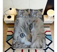 3D Printed Grey Tabby Cat Fitted Sheet Microfiber Soft Breathable Blue Eyes Mattress Cover for Bedroom Dorm Room Decoration 90x200x25cm
