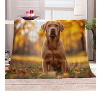 3D Printed Labrador Flannel Fleece Blanket （270GSM） Animal Dog Super Cozy 130x150 cm single Size Fade Resistant Home Decor Gift - Machine Washable
