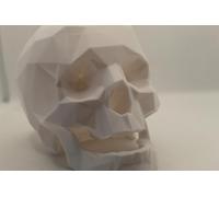 3D Printed Low Poly Skull - Modern Geometric Decorative Sculpture - Black or White PLA Desk Ornament - Minimalist Gothic Home Decor - Polygon Art Skull Figure - Unique Shelf Display Gift (White)