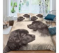 3D Printed Newfoundland dogs Duvet Cover Microfiber vintage engraved art Quilt Cover Soft Breathable Easy Care for Student Dormitory University Accommodation Daily Use Super king（260x220cm）