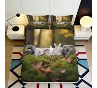 3D Printed Owl Pattern Fitted Sheet Microfiber Deep Pocket Full Wrap Bedroom Bedding Owl Mattress Fitted Cover Non-Slip Washable Single（100x190cm）