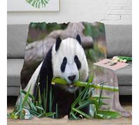 3D Printed Panda eating bamboo All Season Blanket Microfiber Soft Warm Bedding Breathable Nature wildlife scene Sofa Throw All Season for Young Adults Renters Apartment Dwellers 60x80inch(150x200cm)