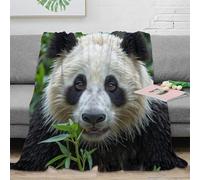 3D Printed Panda eating Living Room Throw Soft Warm Bedding Cosy Wild animal portrait All Season Blanket Machine Washable No Shedding for Young Adults Renters Apartment Dwellers 60x80inch(150x200cm)