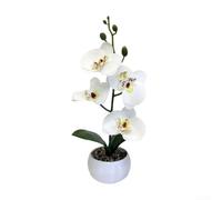 3D Printed Phalaenopsis Orchid Potted Ornament for Indoor Decor Featuring Lifelike Film Simulation Flowers and Rain Flower Stone Base (White)