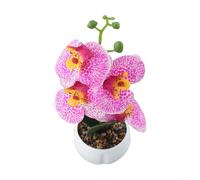3D Printed Phalaenopsis Orchid Potted Ornament for Indoor Decor Featuring Lifelike Film Simulation Flowers and Rain Flower Stone Base (Pink)