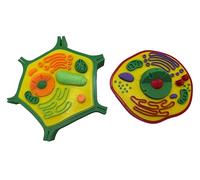 3D Printed Plant and Animal Cell Models, Educational STEM Learning Kit