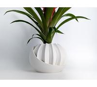3D Printed Plant Pot with Hidden Storage & Push-Lock Compartment, Secret Stash Planter for Home Decor, Unique Gift, Cactus Flower Pot (Primary Colour: Orange; Quantity: 1; )
