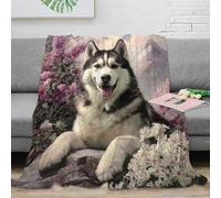 3D Printed Siberian Husky Bed Blanket Microfiber Ultra Soft Warm Bedding Painting Art Soft Throw for Friends Colleagues Loved Ones Housewarming 80×90inch(200x230cm)