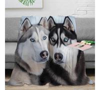 3D Printed Siberian Husky duo Home Blanket Microfiber Ultra Soft Warm Bedding Blue-eyed canine art Fluffy Blanket Anti Static for Teens Students Renters Apartment Dwellers 80×90inch(200x230cm)