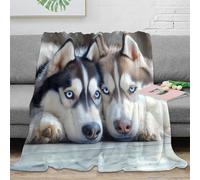 3D Printed Siberian Husky Living Room Throw Microfiber Ultra Soft Warm Bedding Pet companionship Home Blanket Wrinkle Resistant Anti Static for Homeowners Renters Families 50x60inch(127x152cm)