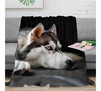 3D Printed Siberian Husky Living Room Throw Soft Warm Bedding Cosy Wild animal photography All Season Blanket Machine Washable No Shedding for Travellers Campers Families 80×90inch(200x230cm)