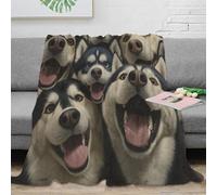 3D Printed Siberian Husky Nap Blanket Microfiber Ultra Soft Warm Bedding Artistic Digital Painting Bedding Throw Anti Static Fade Resistant for Adults Couples Households 80×90inch(200x230cm)