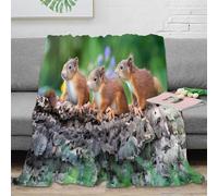 3D Printed Squirrel babies Sofa Throw Microfiber Warm Cosy Bedding Soft Nature wildlife Couch Blanket Machine Washable No Shedding for Students Teens Gamers Movie Nights 50x60inch(127x152cm)