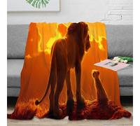 3D Printed Sunset Lion Blanket Microfiber Soft Sofa Bedding Lion Pride Throw Blanket for Adults Home Decor 60x80(150x200cm)