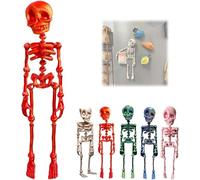 3D Printed Vintage Skeleton Magnetic Figurine, Posable Body Skeleton Fridge Magnets, Multi-Colors Human Skull Magnetic Decorations with Movable Joints for Kitchen, Office and Locker Decor (Red)