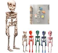 3D Printed Vintage Skeleton Magnetic Figurine, Posable Body Skeleton Fridge Magnets, Multi-Colors Human Skull Magnetic Decorations with Movable Joints for Kitchen, Office and Locker Decor (White)