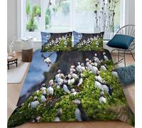 3D Puffin Single Duvet Cover Set Animal Single Bedding Sets Warm Comfort Microfiber Quilt Cover 150x200 cm with 2 Pillowcases for Boys Girls Bedroom y.2918